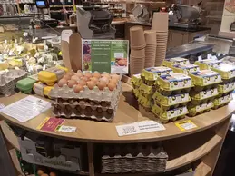 576-biocoop-saint-chamond-au-grand-bioneur-magasin-bio-oeufs-frais-local-poule-producteur.webp